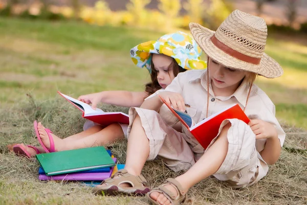 Liten Pojke Och Flicka Läser Böcker Gräset Parken — Stockfoto