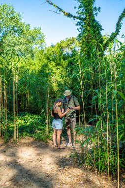Bir adam ve bir kadın ormanda dikilip bir şeye bakıyorlar. Kadının elinde bir kamera var.