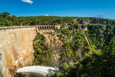 Arka planda yemyeşil bir orman olan kayalık bir uçurumdan bir şelale akıyor. Sahne sakin ve huzurlu, suyun sesiyle.