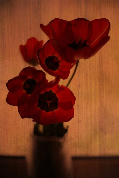 Doppelbelichtung von floralen Objekten — Stockfoto