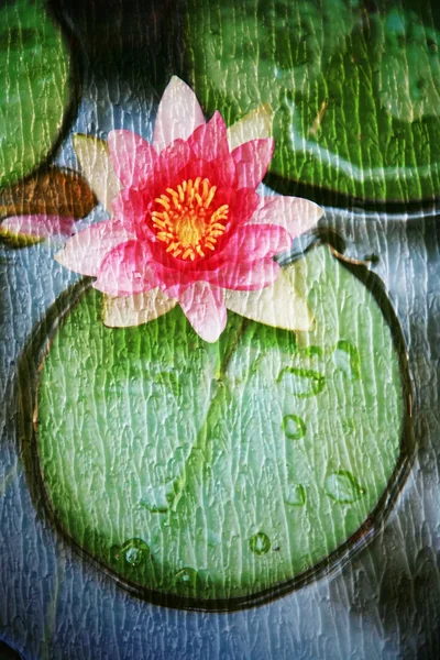 Double exposure of floral objects — Stock Photo, Image