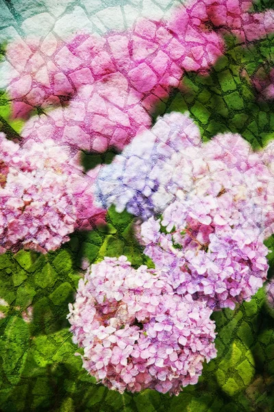 Double exposure of floral objects — Stock Photo, Image