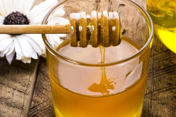 Fragrant spring honey Stock Picture