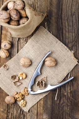 Ceviz ehlileştirmek üzerinde