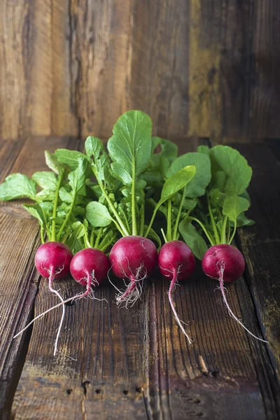 Radijs op planken — Stockfoto