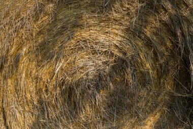 arka plan olarak saman ruloları yakın