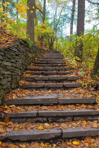 Stentrappa Höstskogen — Stockfoto