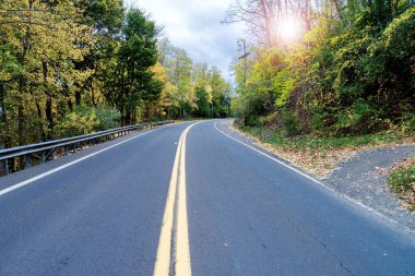 Sonbahar ormanında asfalt yol