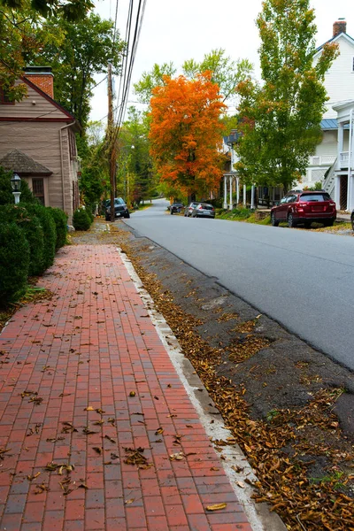 Кирпичный Тротуар Осенней Листвой Вдоль Старых Домов — стоковое фото