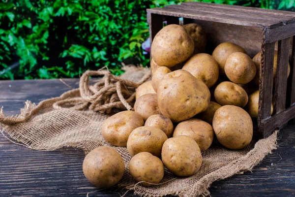Holzkiste Mit Kartoffeln Auf Säcken — Stockfoto