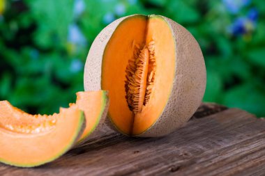 Olgunlaşmış karpuz tohumları ve sığ alan derinliği