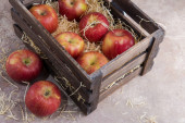 zralé jablka jsou zabalena v dřevěné krabici s hoblinami