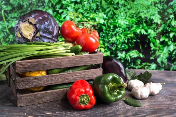 Wooden Box Full Bright Fresh Vegetables Healthy Food Set Contains — Stock Photo, Image