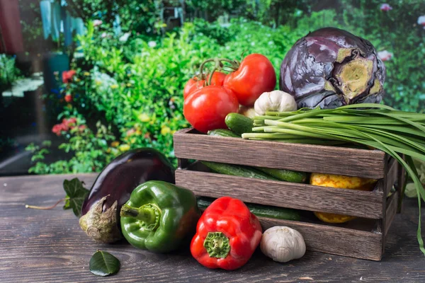 Wooden Box Full Bright Fresh Vegetables Healthy Food Set Contains — Stock Photo, Image