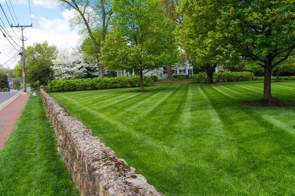 Freshly cut lawn in garden in front of an ancient villa, America.