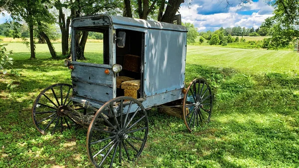 Passenger Forgotten Vintage Carriage Summer Garden — Stock Photo, Image