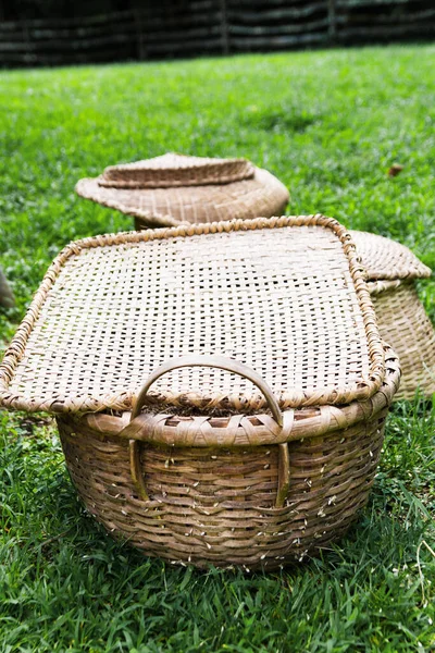 Cesta Bambu Mão Feita Grama Verde Bandeja Bambu Tecida — Fotografia de Stock