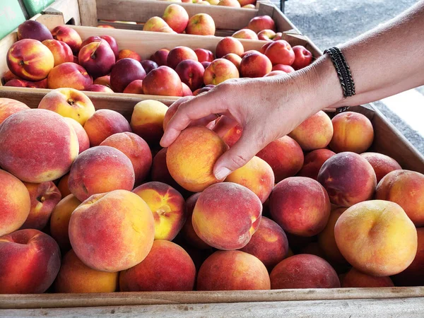 Vrouwelijke Hand Die Perziken Kiest Supermarkt Concept Van Bewuste Keuze — Stockfoto