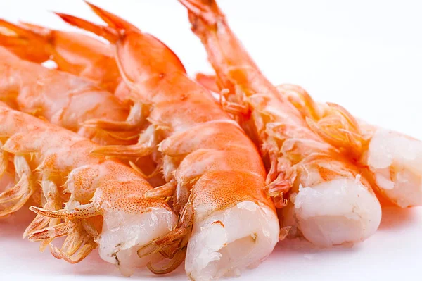 Camarones Langostinos Aislados Sobre Fondo Blanco Mariscos — Foto de Stock