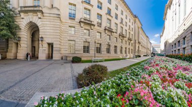 Hükümetin bahçesinde çiçek açan çiçeklerle dolup taşan çiçek.