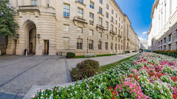 Hükümetin bahçesinde çiçek açan çiçeklerle dolup taşan çiçek.