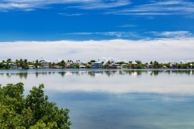 Berrak mavi gökyüzü ve palmiye ağaçları ile tropikal Florida 'da yaşayan sakin okyanus manzarası