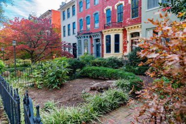 Washington DC 'de Sonbahar Yeşillikleriyle çevrili konforlu Kentsel Ev