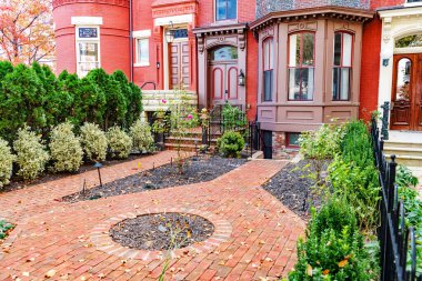 Dupont Circle 'daki tuğla evler ve peyzaj yolları. Sonbahar sezonunda büyüleyici Amerikan şehir mimarisi.