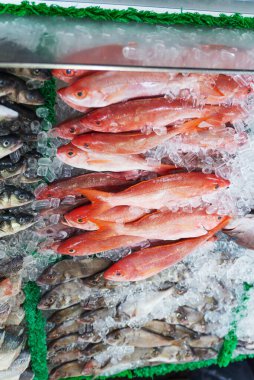 Satılık buzdan bir yatağın üzerine koyulmuş çiğ balıkların renkli kırmızı çeşitleri.
