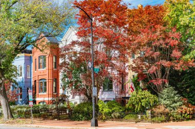 Washington 'daki evler boyunca renkli sonbahar yaprakları.