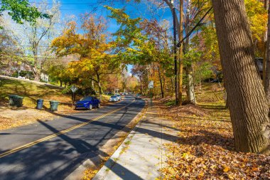 Renkli sonbahar yaprakları bir kasaba caddesi boyunca dağılmış..