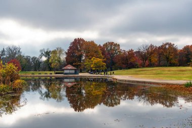 Washington D.C. parkındaki huzurlu bir göletin sonbahar manzarası.