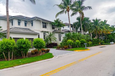 Bulutlu gökyüzünün altındaki lüks yerleşim bölgesinde tropik palmiye ağaçlarıyla kaplı bir cadde.