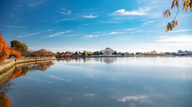 Washington DC 'de Jefferson Memorial ve altın yapraklı sakin sonbahar manzarası
