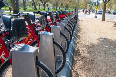 Washington DC 'de halka açık bir limanda kırmızı bisikletliler sıraya dizildi.