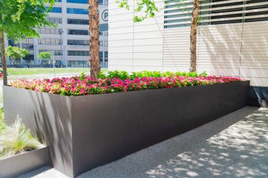 Şık bir şehir kaldırımı ve halka açık bir yer. Geniş, yükseltilmiş bir çiçek yatağı ve güneşli bir günde modern ticari bir arkaplan..