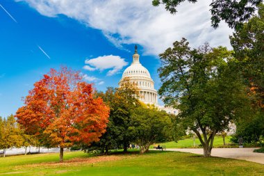 ABD Kongre Binası, canlı kırmızı ve turuncu sonbahar ağaçları çerçeveli..