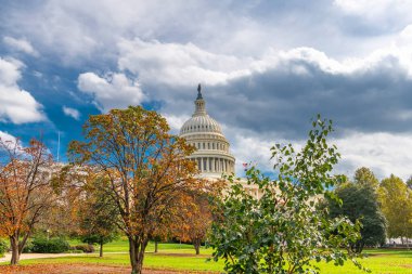 Güneşli bir günde tarihsel Birleşik Devletler Kongre Binası ve renkli sonbahar yaprakları.