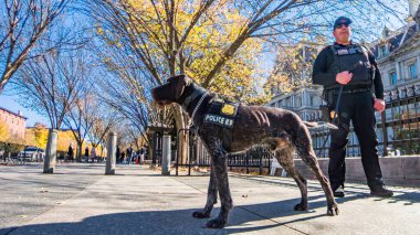 Washington DC 'nin merkezinde üniformalı bir memur ve eğitimli bir servis köpeği var. İkonik hükümet binalarının yakınında sonbahar günü.