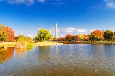 Washington Anıtı 'nın Sonbahar Yaprakları ve Su Yansıması Görünümü