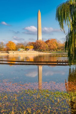 Washington Anıtı ve Yansıtan Göl Sonbahar Renkleriyle çevrili