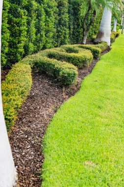 Manikürlü çimleri ve zemin örtüsü olan eğri bir manzara tasarımı.