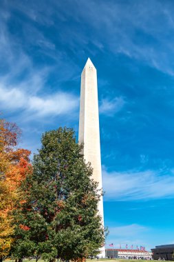 Washington DC 'deki Washington Anıtı Renkli Sonbahar Ağaçlarının Üzerinde Yükseliyor