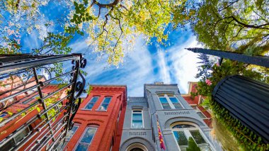 Sonbahar yaprakları ve parlak gökyüzü olan renkli DC sıra evlerinin alçak açılı görüntüsü.