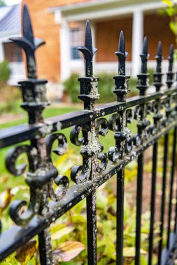 Detaylı yontulmuş sonik elementlerin yer aldığı antik demir çitlerin yakın çekimi