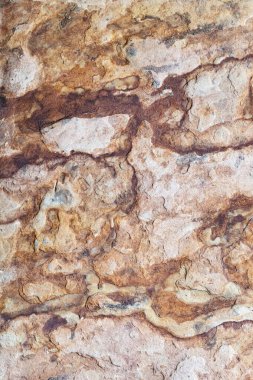 Katmanlı yapıya sahip ayrıntılı taş levha