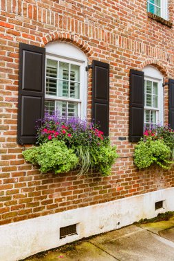 Blooming windows with red and violet flowers in window boxes
