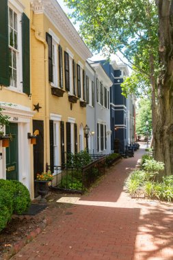 Georgetown Mahallesi 'nde ağaçlar, gölgeler ve sömürge tarzı mimarisi olan bir kaldırım.