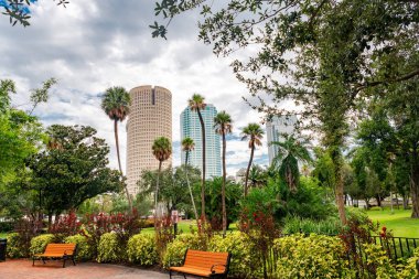 Bulutlu bir günde Tampa şehir merkezinde palmiye ağaçları olan şehir parkı