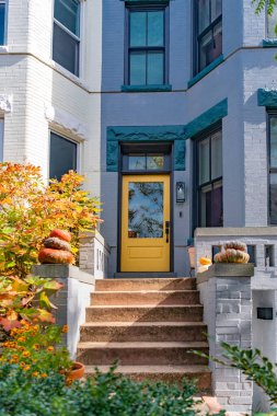 Washington DC 'deki evlerinde balkabaklarıyla sarı giriş ve giriş adımları.